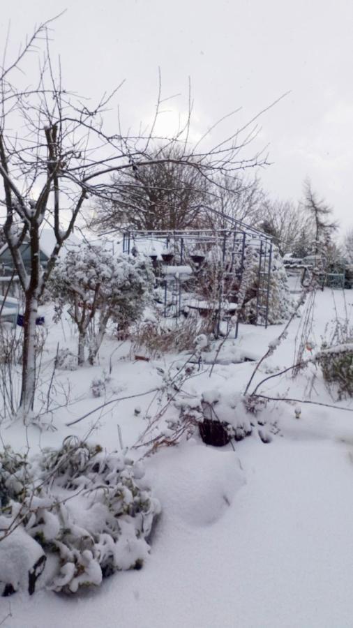 مبيت وإفطار هورنكاستيل Mountain Ash المظهر الخارجي الصورة